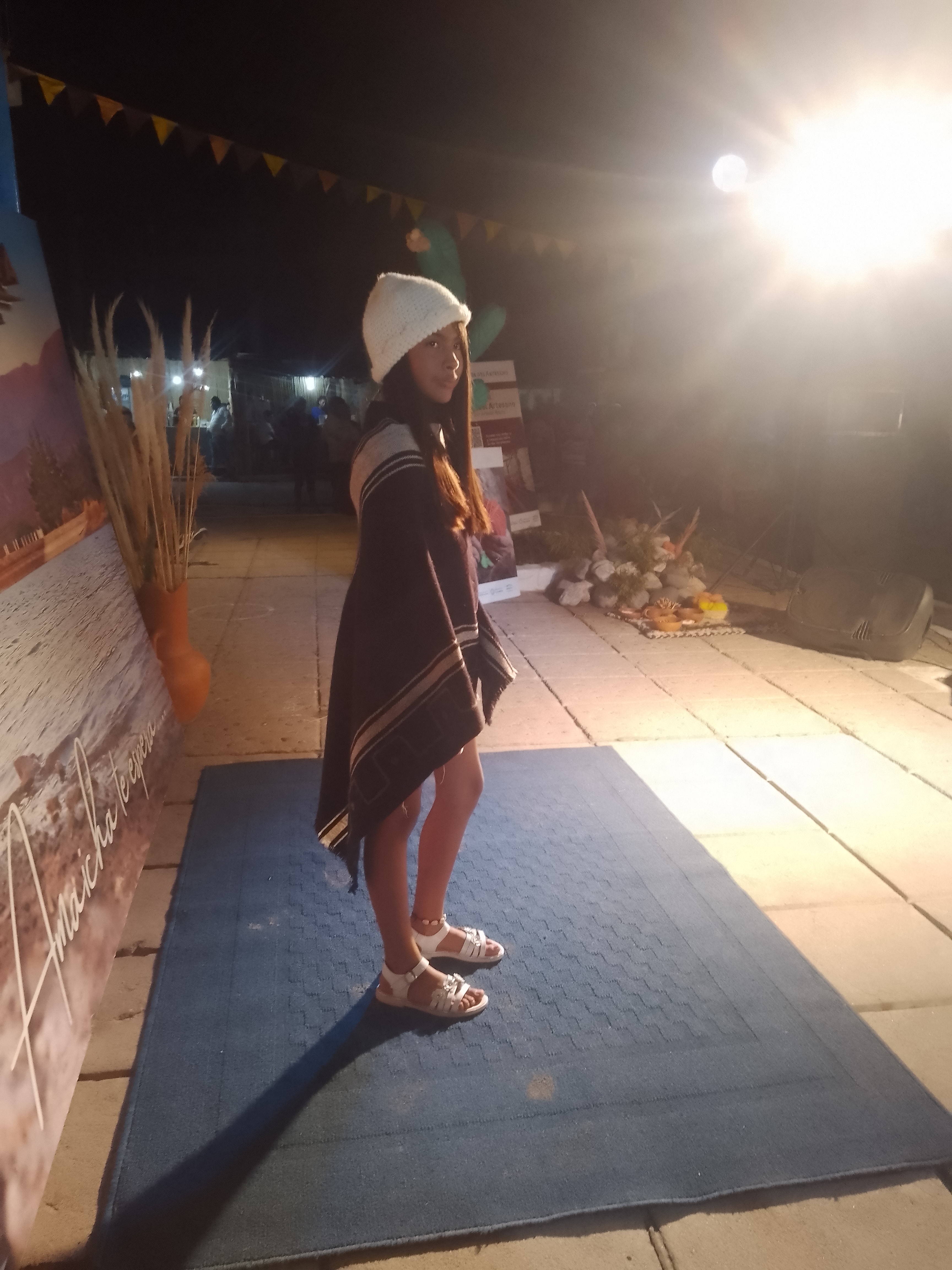 PASHMINA BORDADA EN FIELTRO